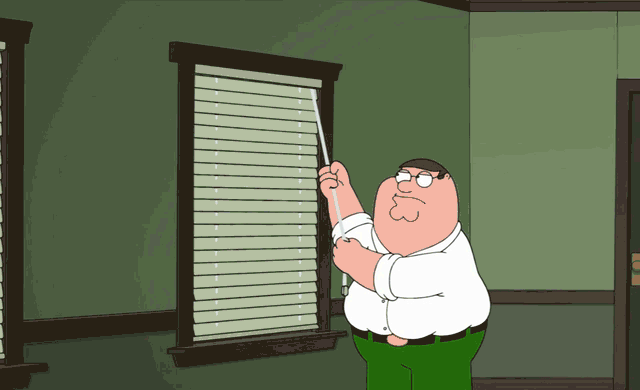 family-guy-window-blinds